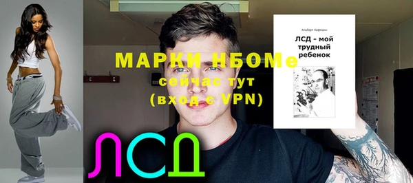 амф Бородино
