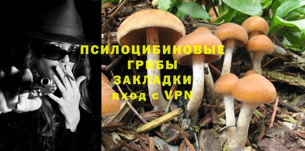амф Бородино