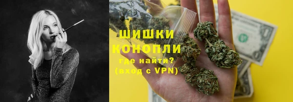 амф Бородино