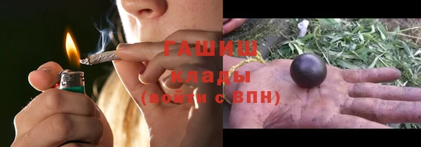 амф Бородино