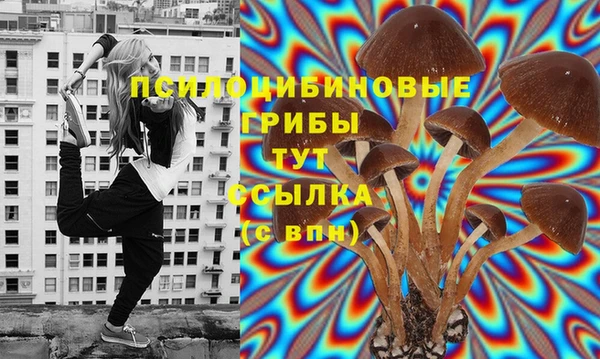 бошки Бугульма