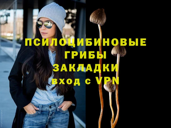 амф Бородино