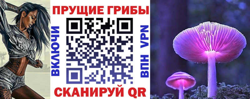 Псилоцибиновые грибы Cubensis  Братск 